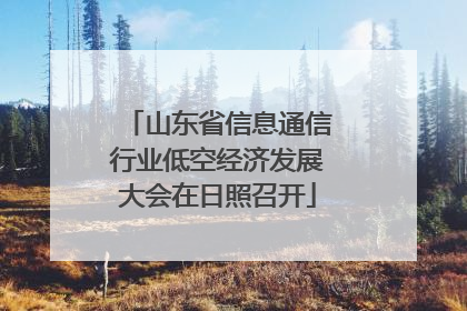 山东省信息通信行业低空经济发展大会在日照召开
