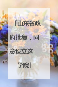 山东省政府批复，同意设立这一学院