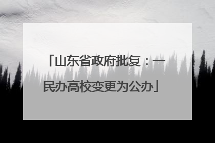山东省政府批复：一民办高校变更为公办