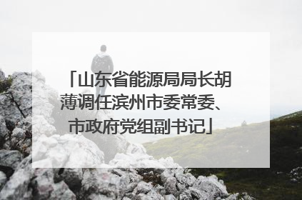 山东省能源局局长胡薄调任滨州市委常委、市政府党组副书记