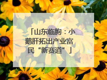 山东临朐：小鹅肝拓出产业富民“新赛道”