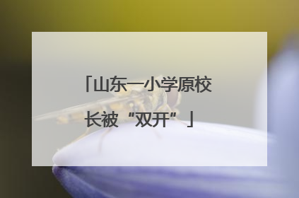 山东一小学原校长被“双开”