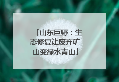 山东巨野：生态修复让废弃矿山变绿水青山