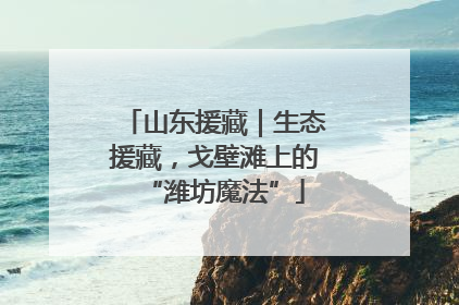 山东援藏｜生态援藏，戈壁滩上的“潍坊魔法”