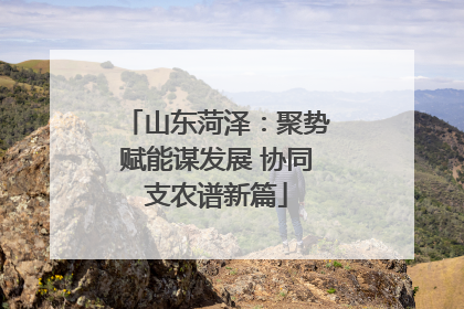 山东菏泽：聚势赋能谋发展 协同支农谱新篇