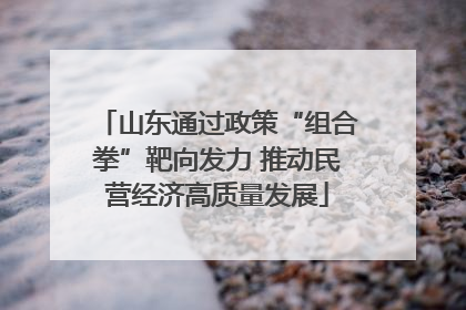 山东通过政策“组合拳”靶向发力 推动民营经济高质量发展