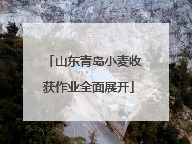 山东青岛小麦收获作业全面展开