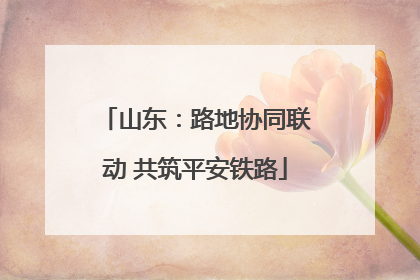 山东：路地协同联动 共筑平安铁路