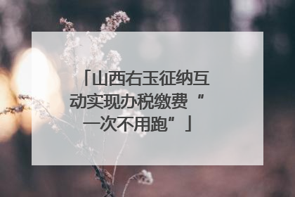 山西右玉征纳互动实现办税缴费“一次不用跑”