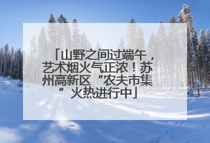 山野之间过端午，艺术烟火气正浓！苏州高新区“农夫市集”火热进行中