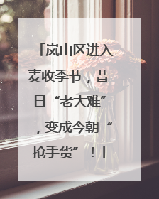 岚山区进入麦收季节，昔日“老大难”，变成今朝“抢手货”！