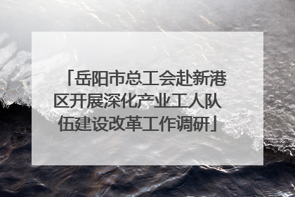 岳阳市总工会赴新港区开展深化产业工人队伍建设改革工作调研