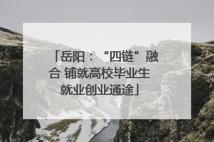 岳阳：“四链”融合 铺就高校毕业生就业创业通途