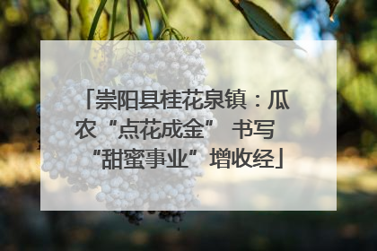 崇阳县桂花泉镇：瓜农“点花成金” 书写“甜蜜事业”增收经
