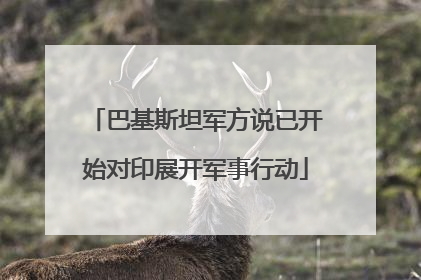 巴基斯坦军方说已开始对印展开军事行动
