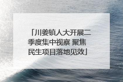 川姜镇人大开展二季度集中视察 聚焦民生项目落地见效