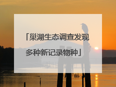 巢湖生态调查发现多种新记录物种