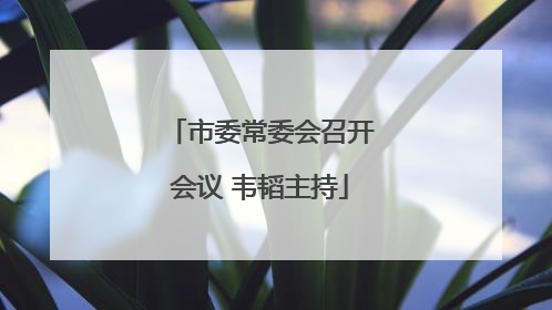 市委常委会召开会议 韦韬主持