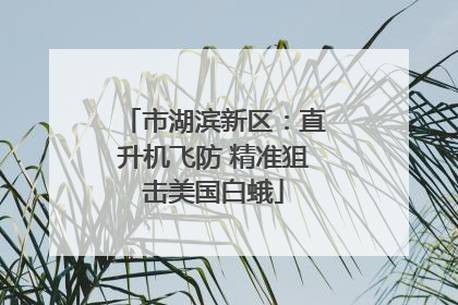 市湖滨新区：直升机飞防 精准狙击美国白蛾