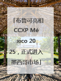 布鲁可亮相 CCXP México 2025，正式进入墨西哥市场