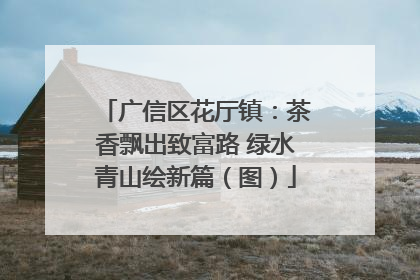广信区花厅镇：茶香飘出致富路 绿水青山绘新篇（图）