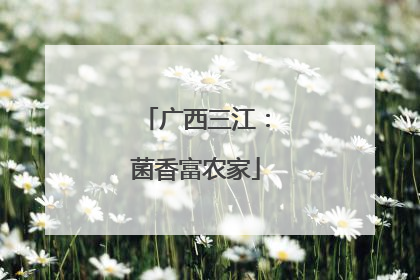 广西三江：菌香富农家