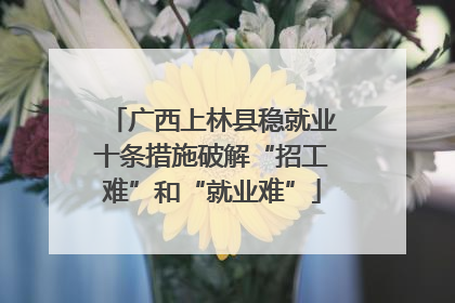 广西上林县稳就业十条措施破解“招工难”和“就业难”