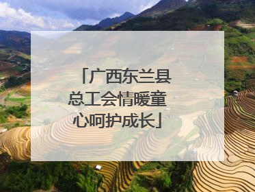广西东兰县总工会情暖童心呵护成长