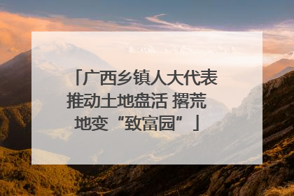 广西乡镇人大代表推动土地盘活 撂荒地变“致富园”