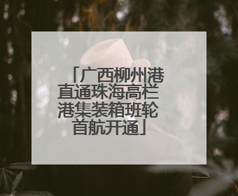广西柳州港直通珠海高栏港集装箱班轮首航开通