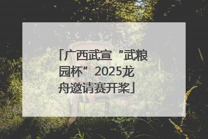 广西武宣“武粮园杯”2025龙舟邀请赛开桨