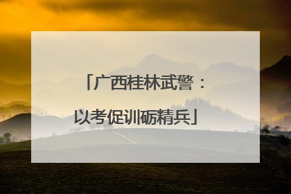 广西桂林武警：以考促训砺精兵