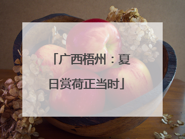 广西梧州：夏日赏荷正当时