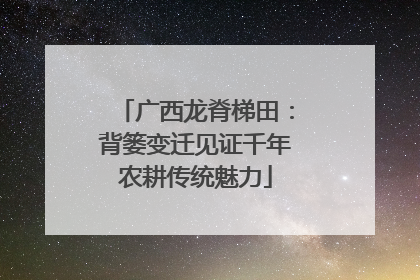 广西龙脊梯田：背篓变迁见证千年农耕传统魅力