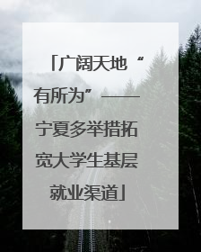 广阔天地“有所为”——宁夏多举措拓宽大学生基层就业渠道
