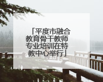 平度市融合教育骨干教师专业培训在特教中心举行