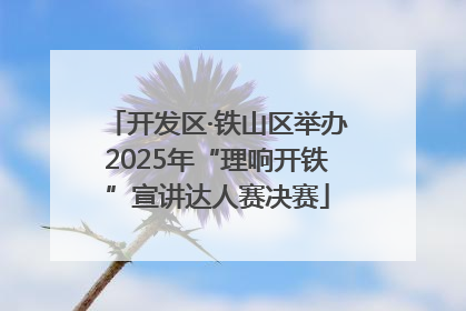 开发区·铁山区举办2025年“理响开铁”宣讲达人赛决赛