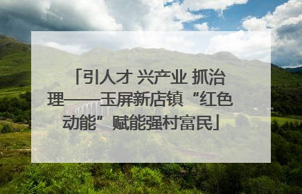 引人才 兴产业 抓治理——玉屏新店镇“红色动能”赋能强村富民