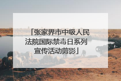 张家界市中级人民法院国际禁毒日系列宣传活动剪影