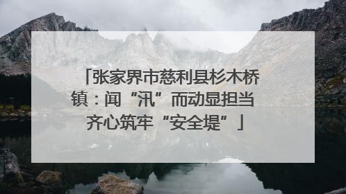 张家界市慈利县杉木桥镇：闻“汛”而动显担当 齐心筑牢“安全堤”