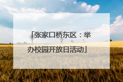 张家口桥东区：举办校园开放日活动