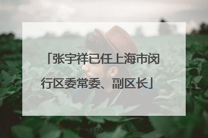 张宇祥已任上海市闵行区委常委、副区长