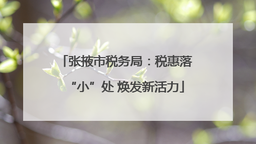 张掖市税务局：税惠落“小”处 焕发新活力