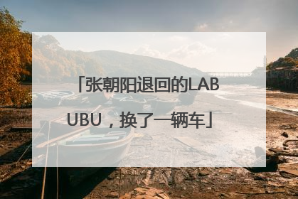 张朝阳退回的LABUBU，换了一辆车