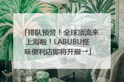 排队预警！全球顶流来上海啦！LABUBU怪味便利店即将开展→