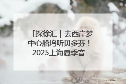 探徐汇｜去西岸梦中心船坞听贝多芬！2025上海夏季音乐节公布节目阵容