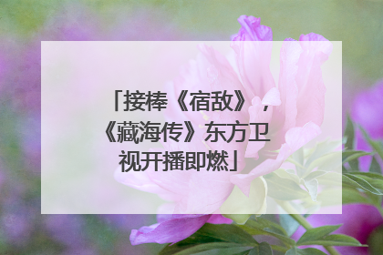 接棒《宿敌》，《藏海传》东方卫视开播即燃