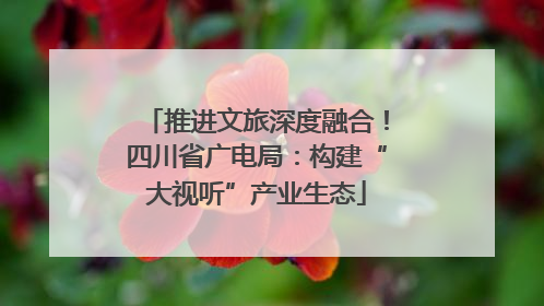 推进文旅深度融合！四川省广电局：构建“大视听”产业生态
