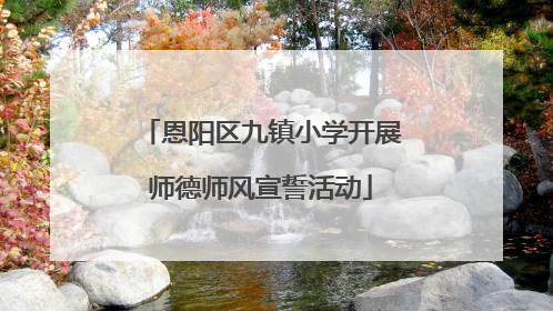 恩阳区九镇小学开展师德师风宣誓活动