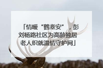 情暖“鹤耋安”，彭刘杨路社区为高龄独居老人织就温情守护网